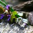 Blade of Grass Peridot Ring