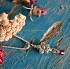 Silver Plated Pewter Forget Me Not Miscarriage Necklace